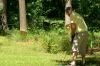 100_2048.JPG