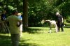 100_2056.JPG