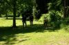 100_2079.JPG