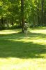 100_2081.JPG
