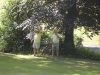 dsc00017.jpg