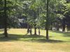 dsc00020.jpg